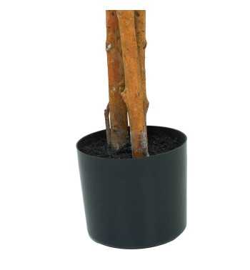 Pianta Ficus Benjamin Artificiale