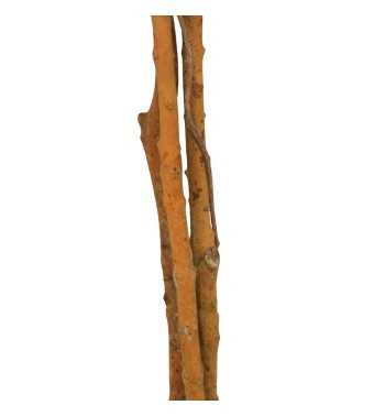 Pianta Ficus Benjamin Artificiale