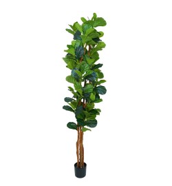 Pianta Ficus Artificiale