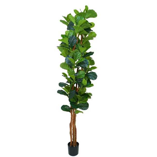 Pianta Ficus Artificiale