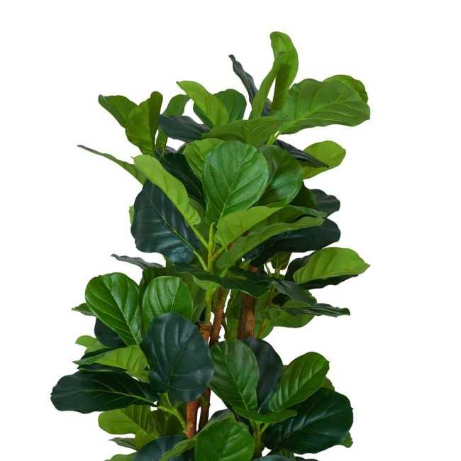 Pianta Ficus Artificiale
