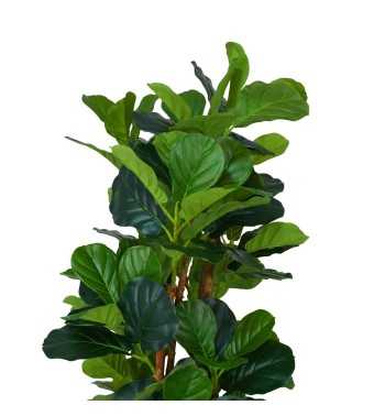 Pianta Ficus Artificiale