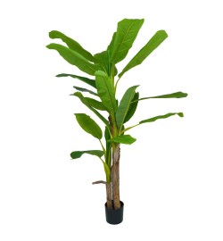 Pianta Banano Artificiale