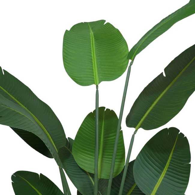 Pianta Strelitzia Artificiale 5 Misure