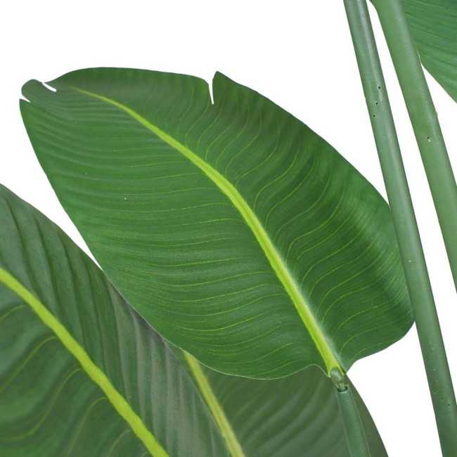 Pianta Strelitzia Artificiale 5 Misure