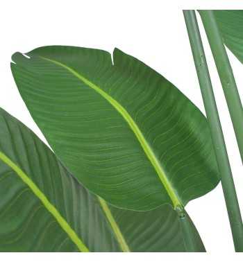 Pianta Strelitzia Artificiale 5 Misure