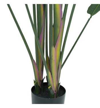 Pianta Strelitzia Artificiale 5 Misure