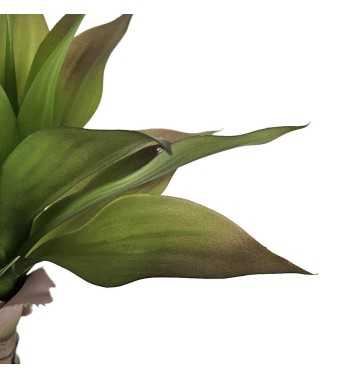 Pianta Agave Artificiale H.80 cm