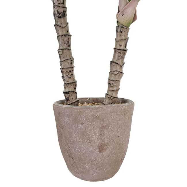 Pianta Agave Artificiale H.80 cm