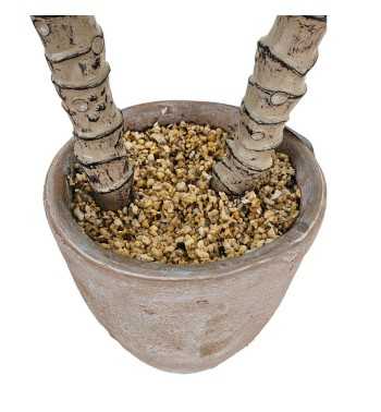 Pianta Agave Artificiale H.80 cm