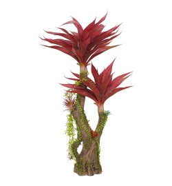 Pianta Agave Red H.116 cm