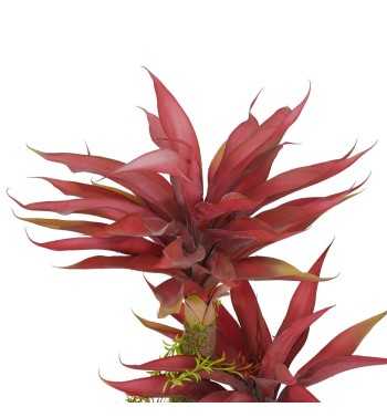 Pianta Agave Red H.116 cm