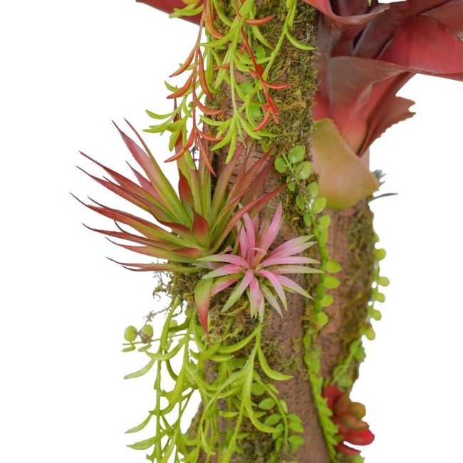 Pianta Agave Red H.116 cm