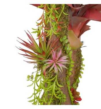 Pianta Agave Red H.116 cm