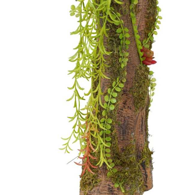 Pianta Agave Red H.116 cm