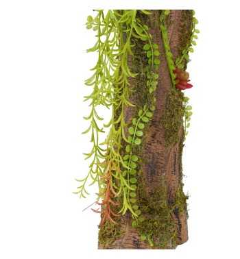 Pianta Agave Red H.116 cm