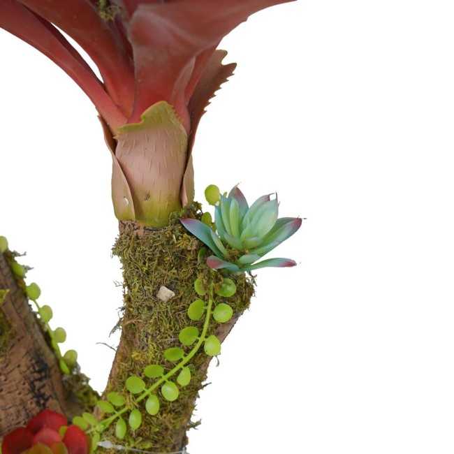 Pianta Agave Red H.116 cm