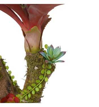 Pianta Agave Red H.116 cm