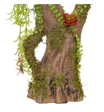 Pianta Agave Red H.116 cm