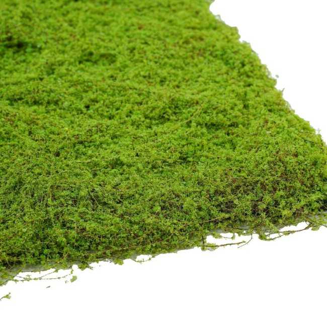 Pannello di Muschio Artificiale 100x100 cm