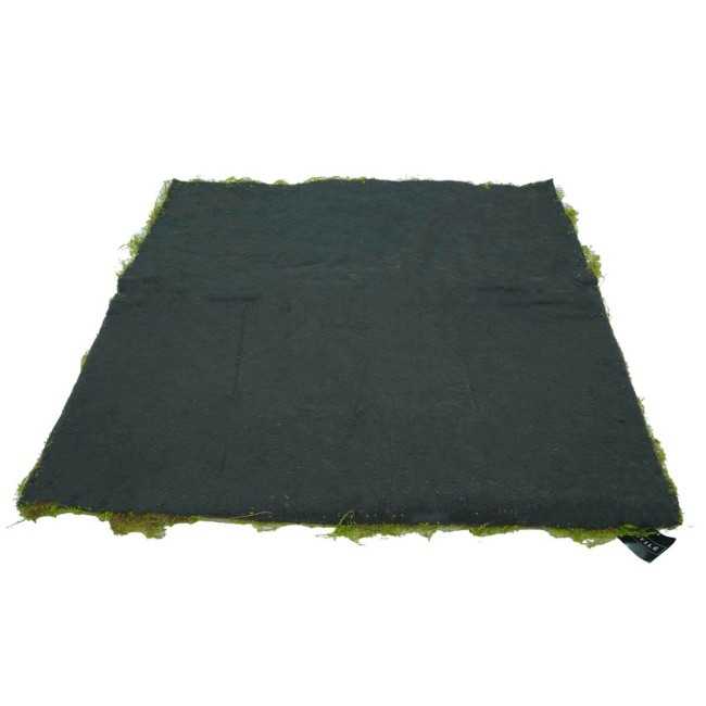 Pannello di Muschio Artificiale 100x100 cm