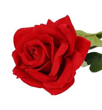 Rosa Rossa Artificiale in Velluto H.68 cm