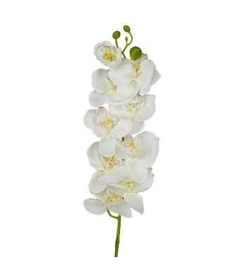 Orchidea Artificiale H.98 cm Vari Colori