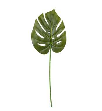 Foglia di Monstera Artificiale H.60 cm