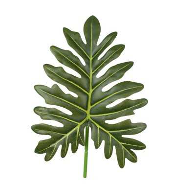 Foglia di Filodendro Artificiale H.60 cm