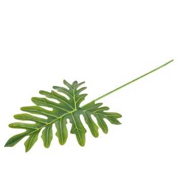 Foglia di Filodendro Artificiale H.76 cm