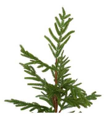 Albero di Natale Verde in PE con Vaso H.88 cm