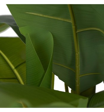 Pianta Banano Artificiale