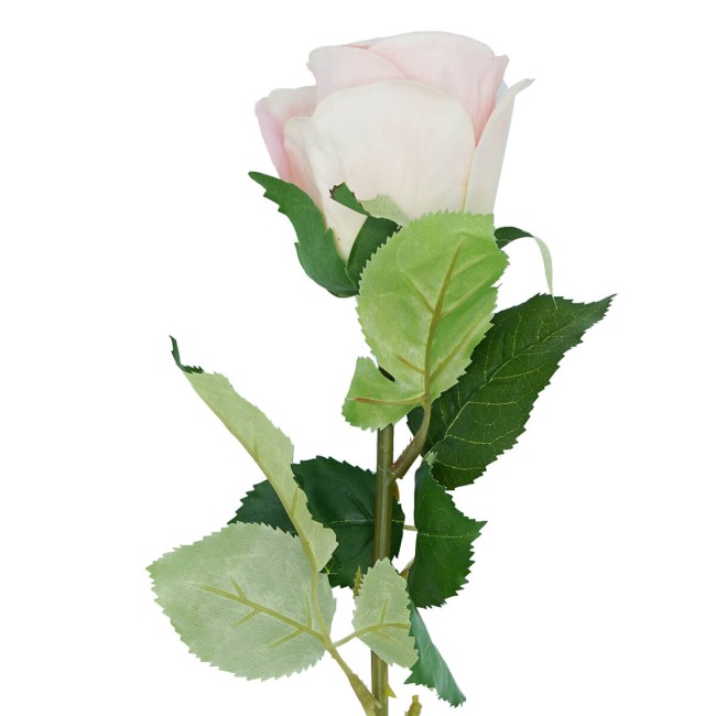 Rosa con Stelo e Foglie