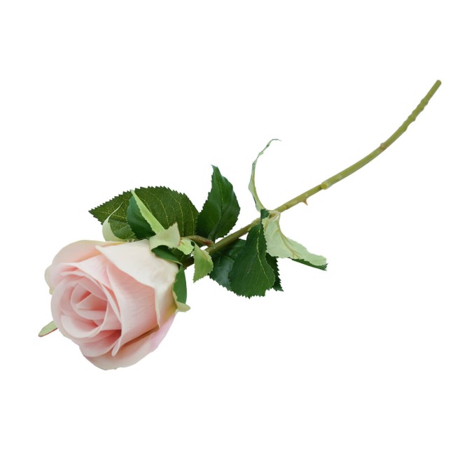 Rosa con Stelo e Foglie