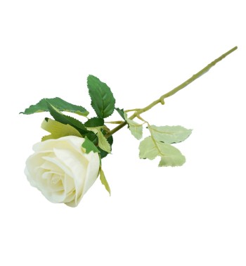 Rosa con Stelo e Foglie