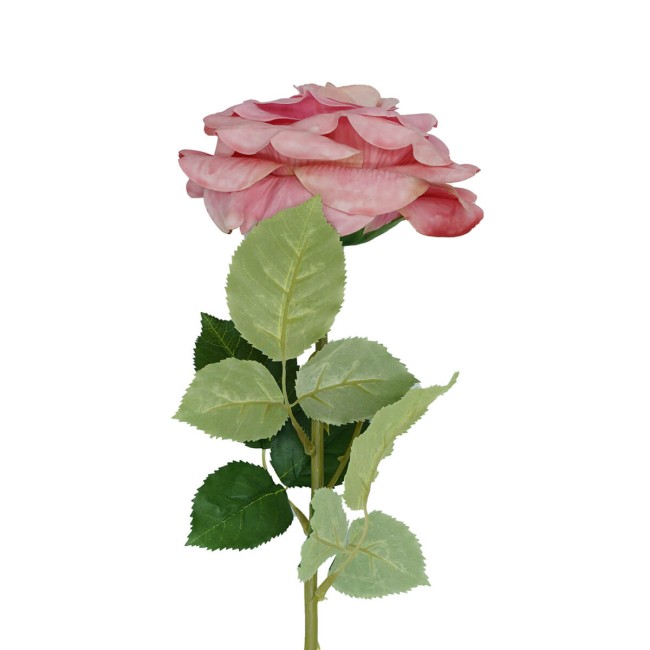 Rosa con Stelo 72 cm