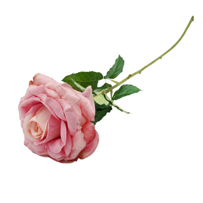 Rosa con Stelo 72 cm