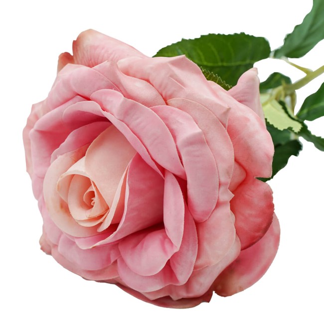 Rosa con Stelo 72 cm