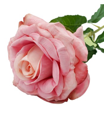 Rosa con Stelo 72 cm