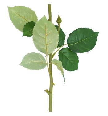 Rosa con Stelo 72 cm