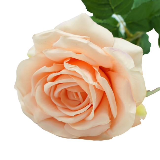 Rosa con Stelo e Foglie Artificiale H.70 cm