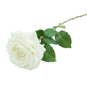 Rosa con Stelo e Foglie Artificiale H.70 cm