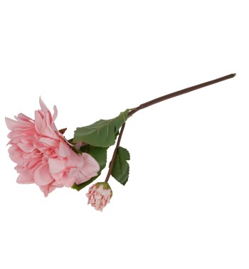 Dalia con Stelo e Foglie H.55 cm
