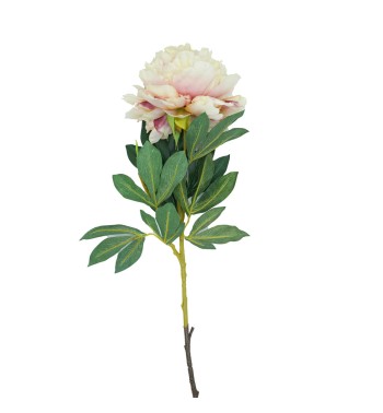 Peonia con Stelo H.90 cm