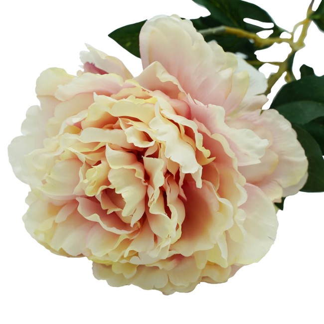 Peonia con Stelo H.90 cm