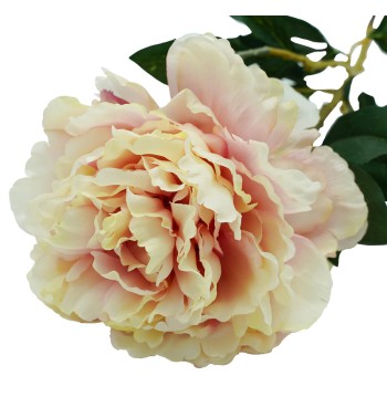 Peonia con Stelo H.90 cm
