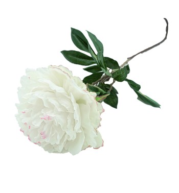 Peonia con Stelo H.90 cm