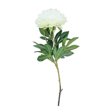 Peonia con Stelo H.90 cm