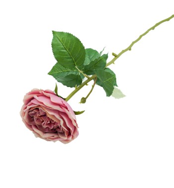 Fiore con Stelo e Foglie 72 cm