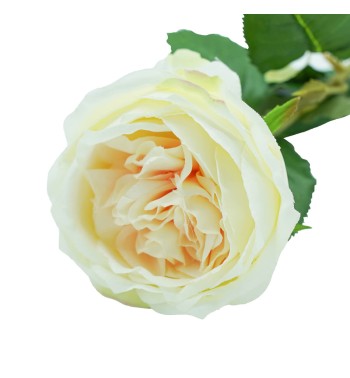 Fiore con Stelo e Foglie 72 cm